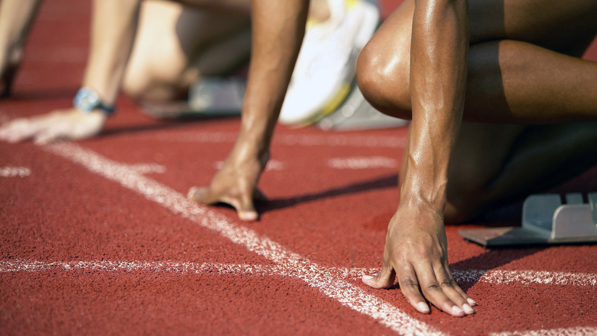 开云官网在线-波波维奇泳姿流畅动作细腻获赞，波波维奇游泳运动员